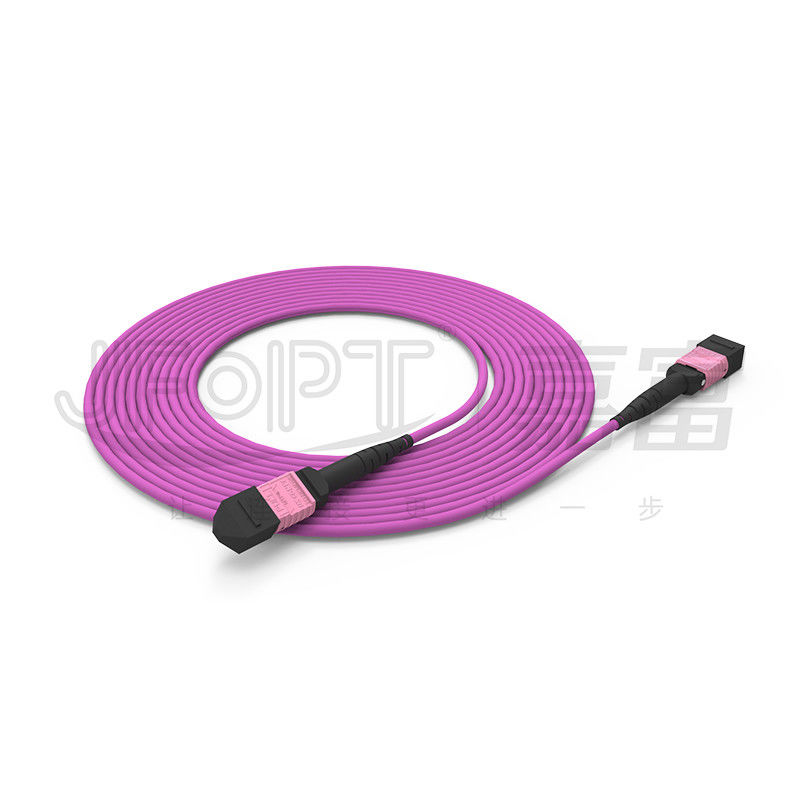 Patchcord 100G MTP 24 rdzenie Wielomodowy OM4 50/125 LSZH 3,0-4,0 mm Heather Violet Jumper
