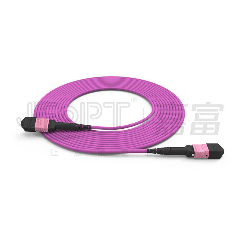 Patchcord 100G MTP 24 rdzenie Wielomodowy OM4 50/125 LSZH 3,0-4,0 mm Heather Violet Jumper