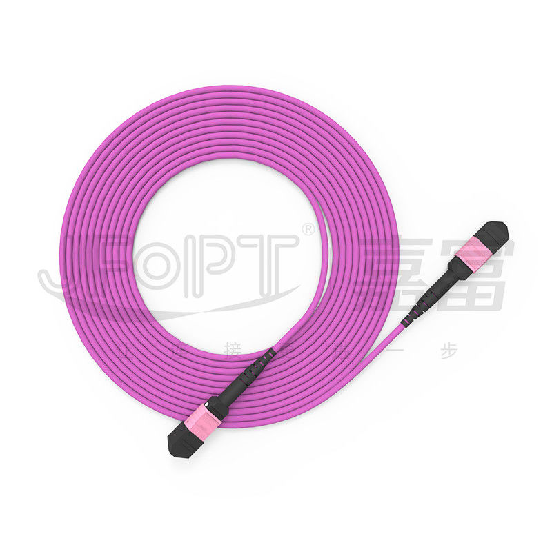 Patchcord 100G MTP 24 rdzenie Wielomodowy OM4 50/125 LSZH 3,0-4,0 mm Heather Violet Jumper