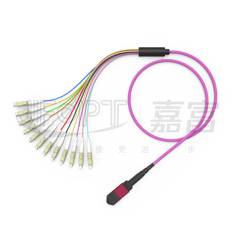 12 rdzeni MPO do LC Breakout Multimode Patch Cord OM1 OM2 OM3 OM4 OM5 0,9 mm Branch