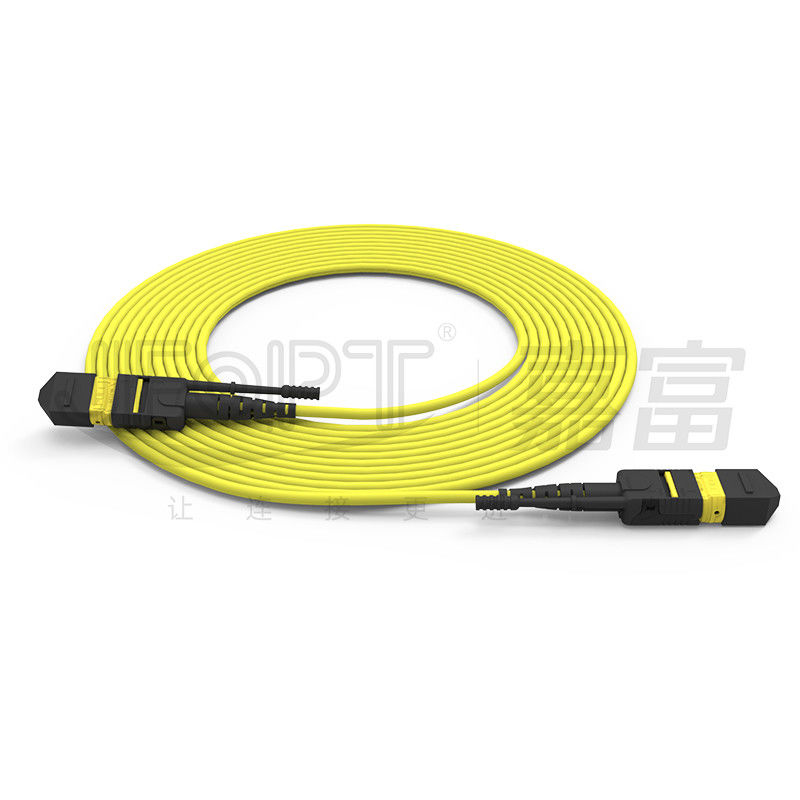 Kabel światłowodowy o wysokiej gęstości MTP jednorzędowy / wielorzędowy 24 rdzenia