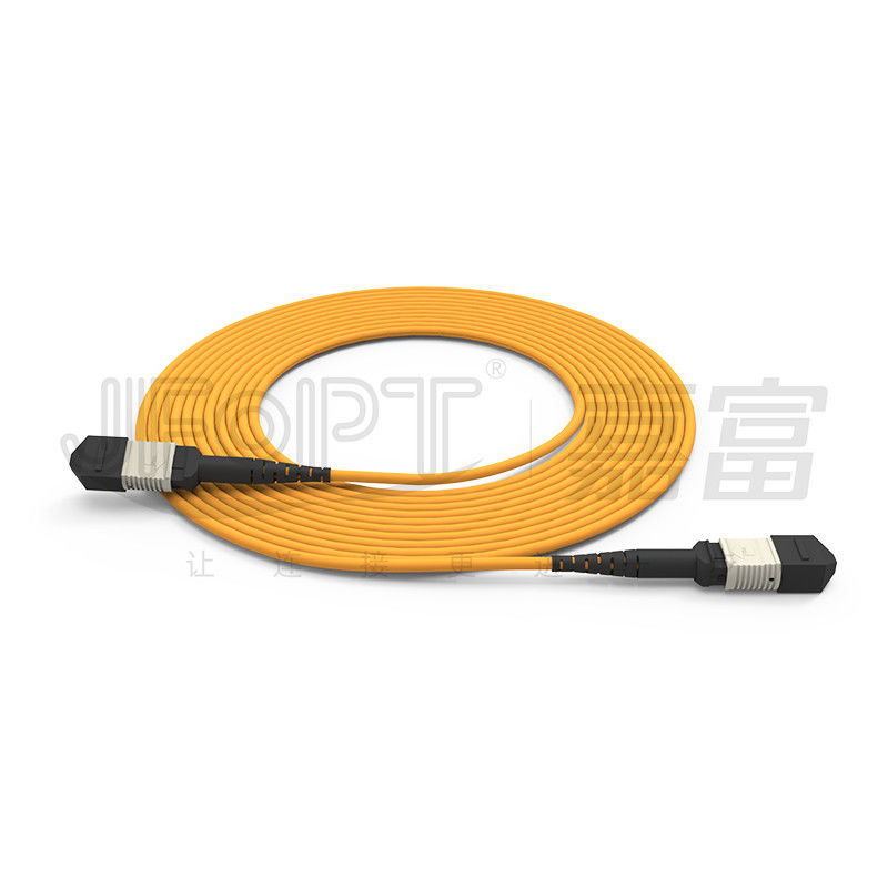 850nm Multimode Low Loss Ferrule MPO Trunk Cable Wielojadrowy Lasy Optyczne Patch Cord